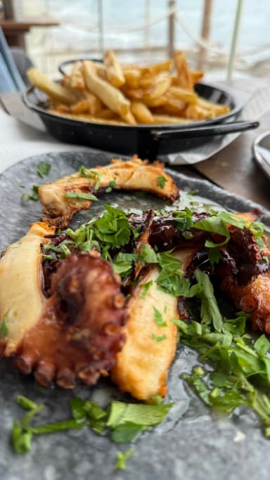 Casserole Octopus