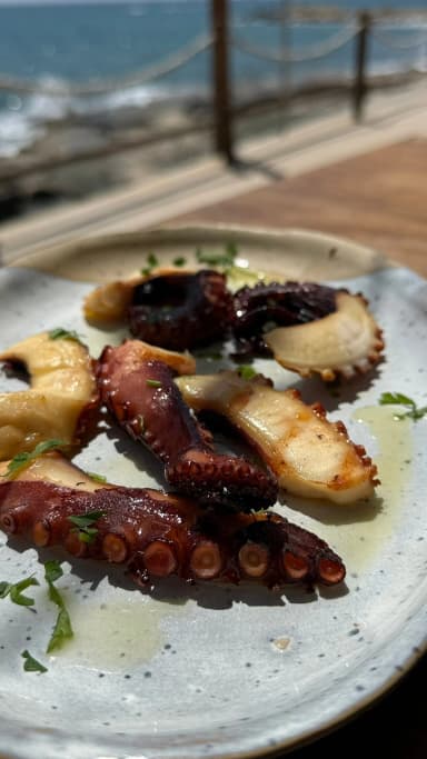 Grilled Octopus